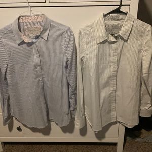 Womens Evy’s Tree button down shirts